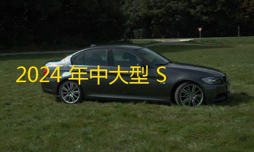 卡盟平台自助下单低价2024 年中大型 SUV 选购指南：理想 L8 太贵？这两款增程式车型更具性价比